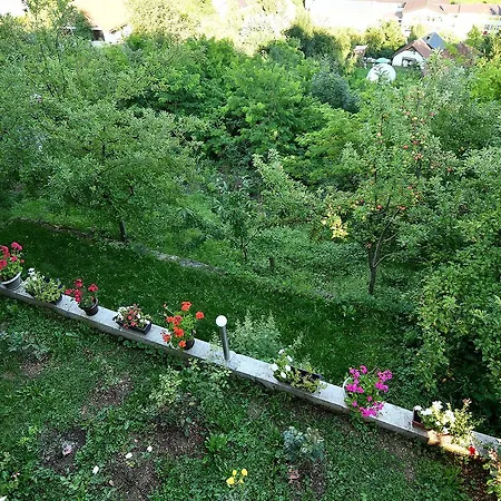 Keep Calm Garden Dom wakacyjny Sarajewo